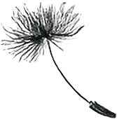 Decorative leaf